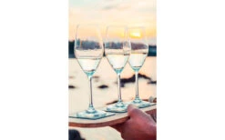 Copas De Champán Magnéticas Silwy 250 Ml Incl. Posavasos Juego De 2 -Cocina Suministros Tienda 297881 2078601