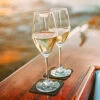 Copas De Champán Magnéticas Silwy 250 Ml Incl. Posavasos Juego De 2 -Cocina Suministros Tienda 336479 2707919