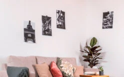 Gancho Magnético Silwy Flex Incl. Almohadillas Metálicas De Nano Gel De 5 Cm 8 Piezas Azul 15 Gancho Magnético Silwy Flex Incl. Almohadillas Metálicas De Nano Gel De 5 Cm 8 Piezas Azul -Cocina Suministros Tienda 336857 2526568 1