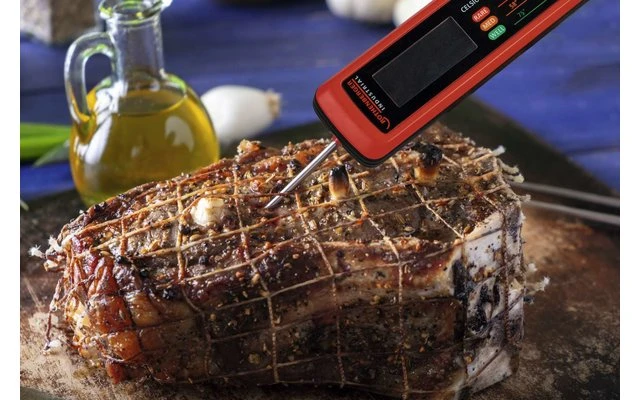 Termómetro Rothenberger Industrial RoGrill Con Pilas Incluidas 3 Termómetro Rothenberger Industrial RoGrill Con Pilas Incluidas