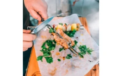 Brochetas Skotti Pikes -Cocina Suministros Tienda 748574 5138330